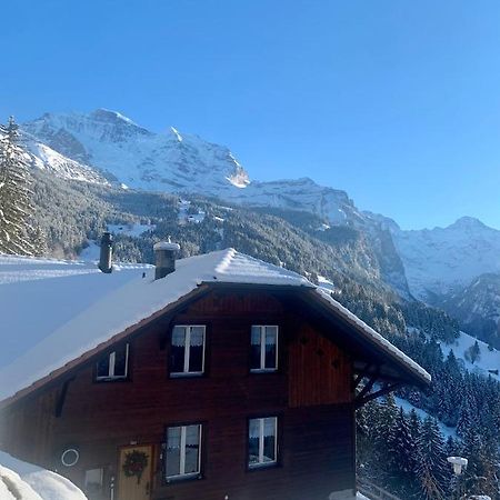 Chalet Aargovia Βένγκεν Εξωτερικό φωτογραφία