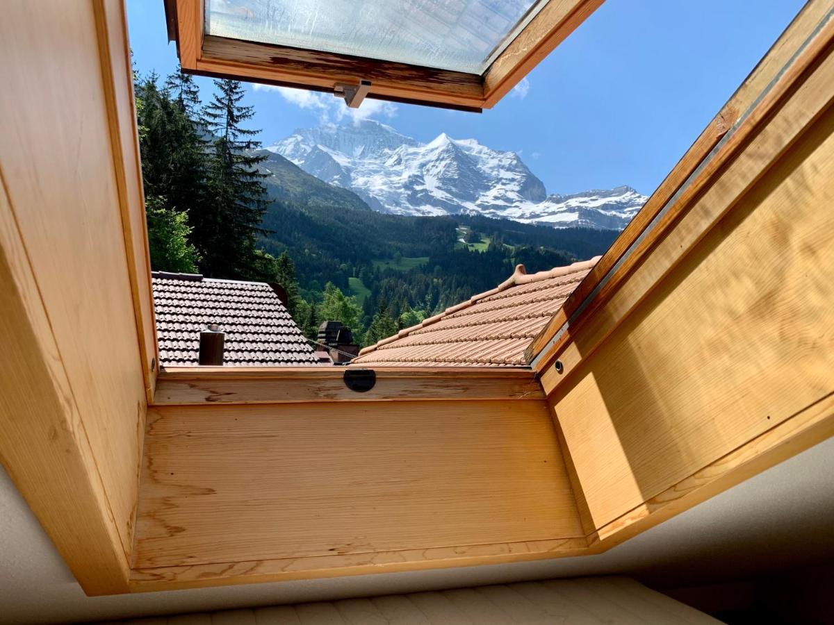 Chalet Aargovia Βένγκεν Εξωτερικό φωτογραφία